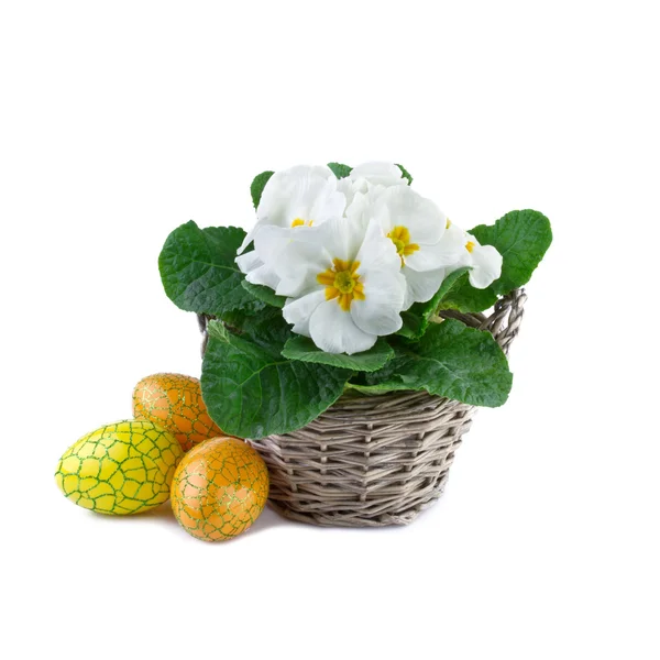 Decoración de Pascua, huevos y flores de primavera aislados en blanco —  Fotos de Stock