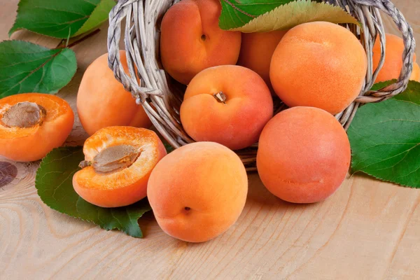 Fresh apricot with leaves — Stock Photo, Image