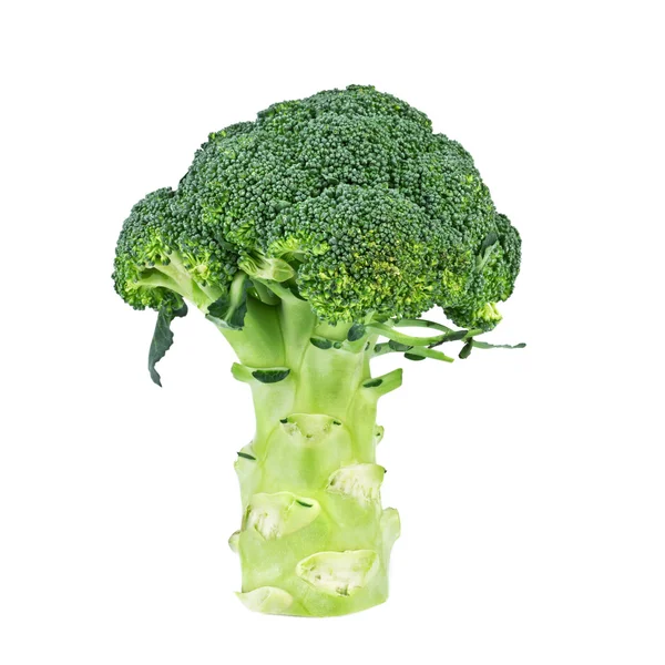 Brócolos isolados sobre fundo branco — Fotografia de Stock