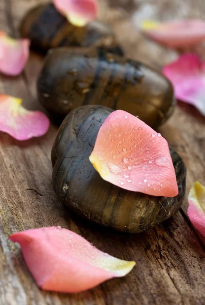 Petali di rosa e pietre termali — Foto Stock