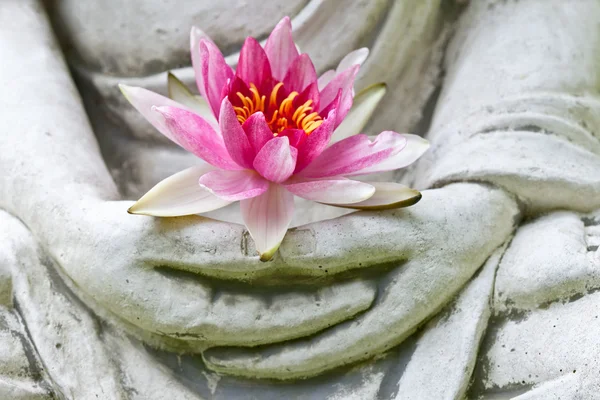 Bouddha mains tenant fleur — Photo
