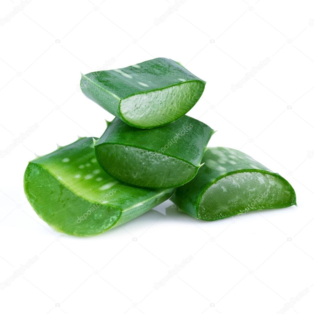 aloe vera leaf and slices isolated on white