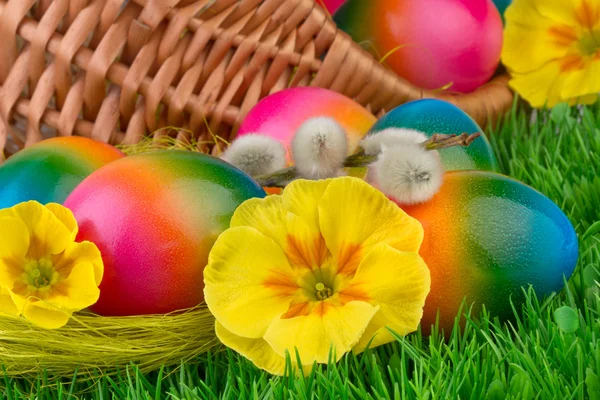 Kolorowe tło Wielkanoc — Zdjęcie stockowe