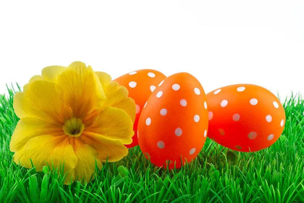 Easter colored eggs on the green grass — Stock Photo, Image