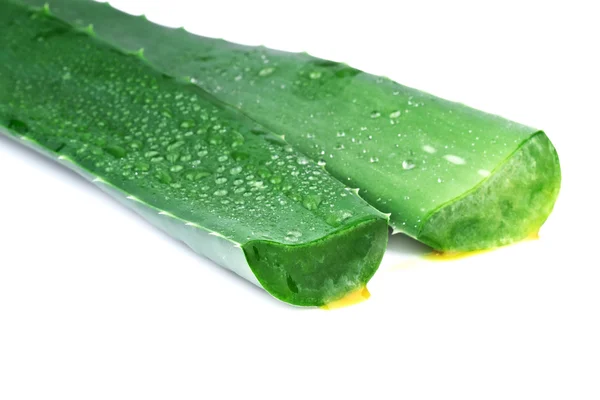 Hojas de aloe vera en rodajas aisladas sobre blanco — Foto de Stock