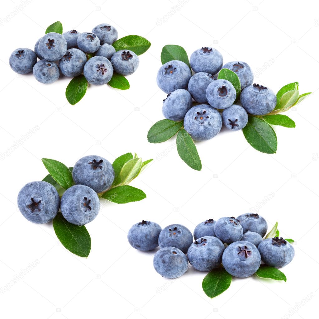 blueberries collage