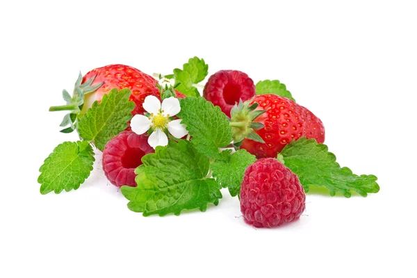 Strawberry and raspberry with mint leaf on white background — Stock Photo, Image