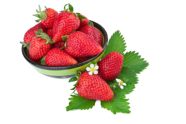 Strawberry in green bowl — Stock Photo, Image