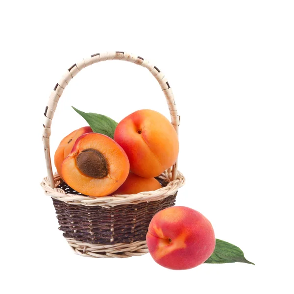 Apricot in wicker basket — Stock Photo, Image