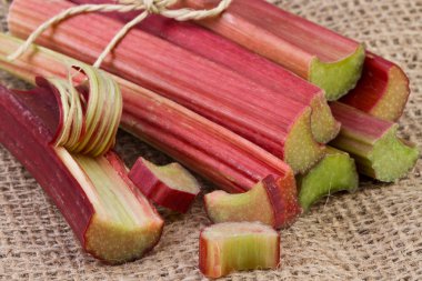 ravent jüt arka plan üzerinde takip ediyor.