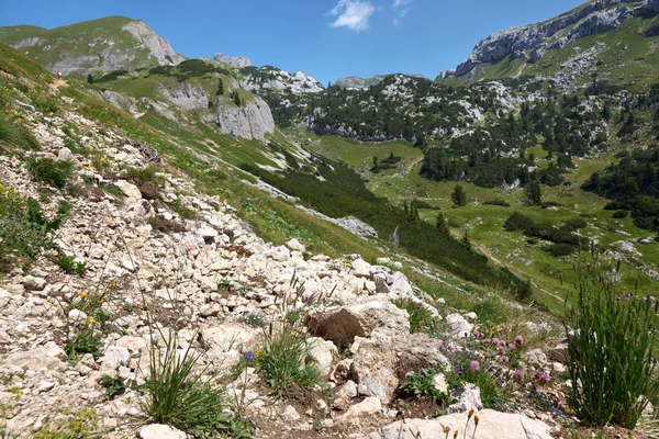 Paisagem montanhosa nos Alpes, Áustria — Fotografia de Stock