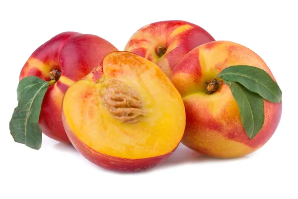 Perzik- of nectarinebomen toegekend geïsoleerd op wit — Stockfoto