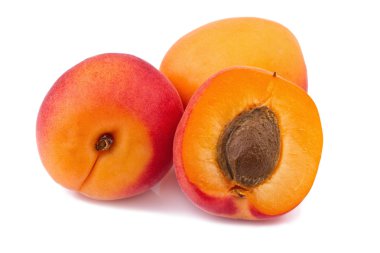 beyaz üzerine kayısı