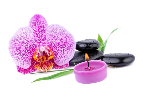 Orquídea com pedras zen spa e conceito de cuidados de saúde — Fotografia de Stock