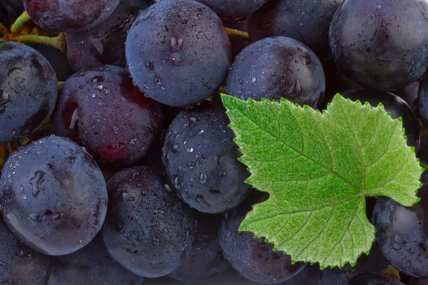 Grapes background — Stock Photo, Image