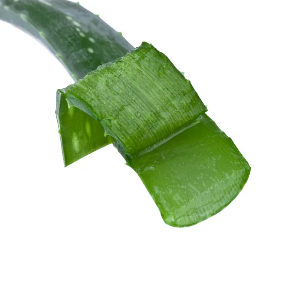 Aloe vera blad skåret - Stock-foto