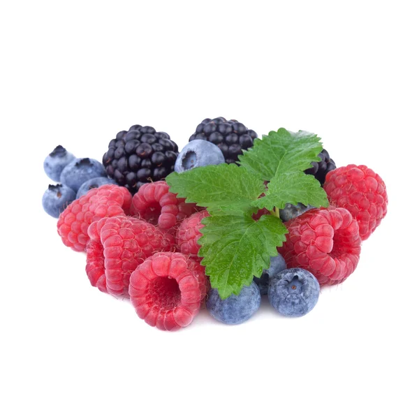 Mix of fresh berry, raspberry, blueberry, blackberry — Stock Photo, Image