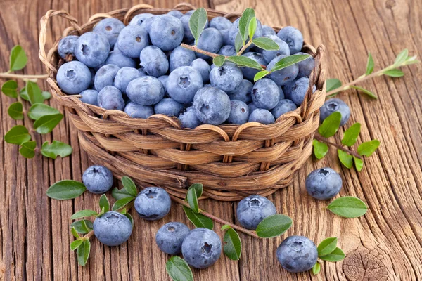 Basket with fresh Blueberry — Stock Photo, Image