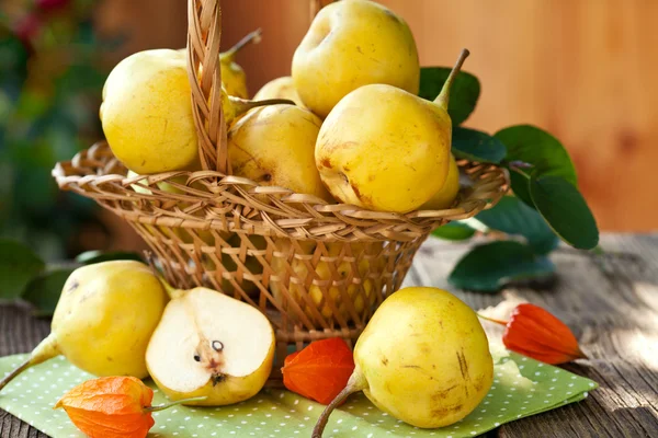 Autumn still life sweet Pears — Stock Photo, Image