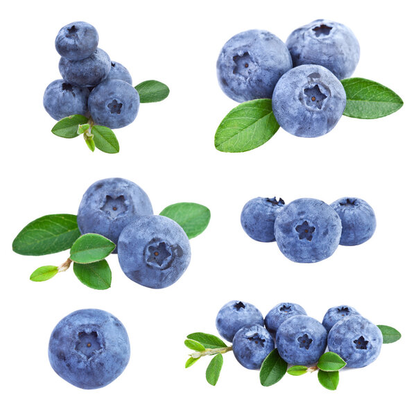 Blueberries Collection