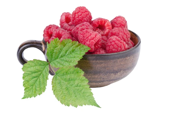 Raspberries in the cup isolated on white — Stock Photo, Image