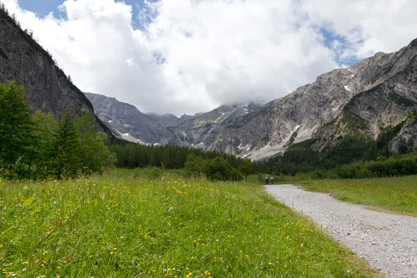 Paisaje austriaco con prados y montañas en verano — Foto de Stock