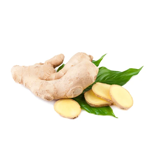 Ginger on White — Stock Photo, Image