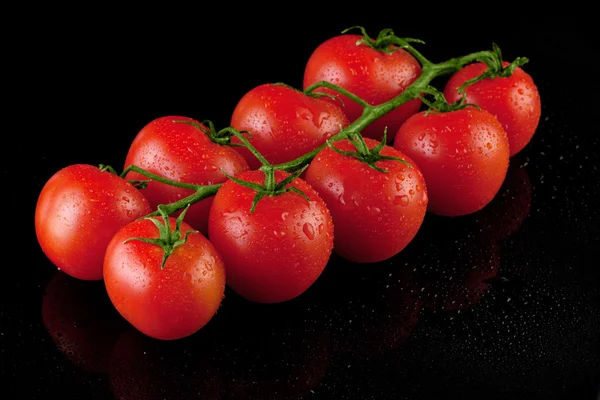 Frische Tomate über schwarz — Stockfoto