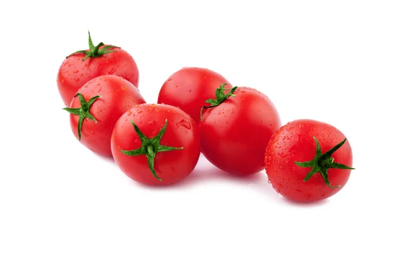 Concetto di pomodoro — Foto Stock