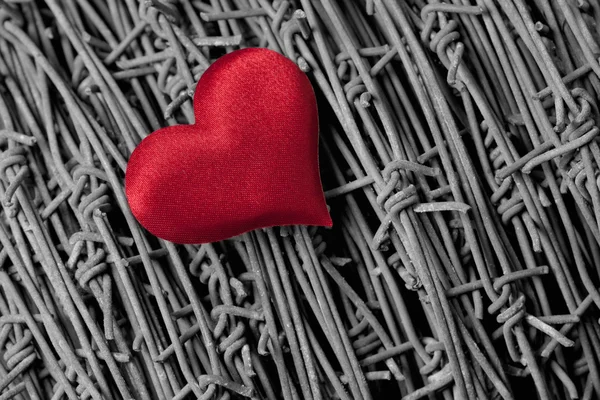 Heart over a barbed wire — Stock Photo, Image