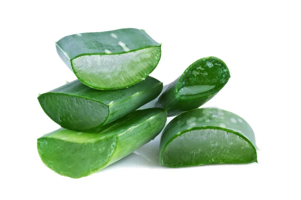 Hoja de aloe vera — Foto de Stock