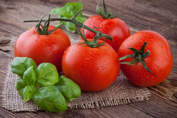 Pomodori con basilico su sfondo di legno vecchio — Foto Stock