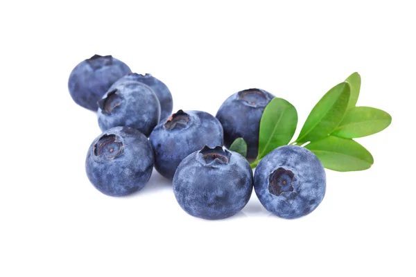 Blaubeeren isoliert auf weiß — Stockfoto