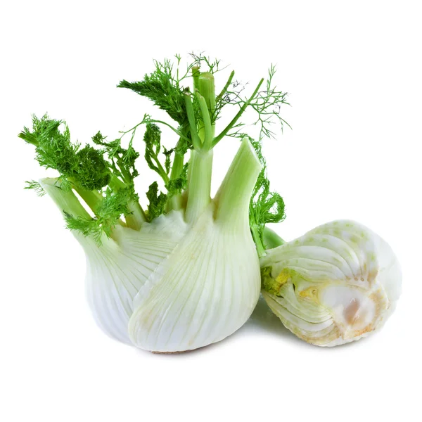 Fennel isolated on white — Stock Photo, Image