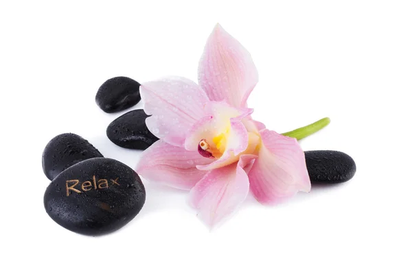 Conceito de Spa, Orquídea com pedras zen isoladas em branco — Fotografia de Stock