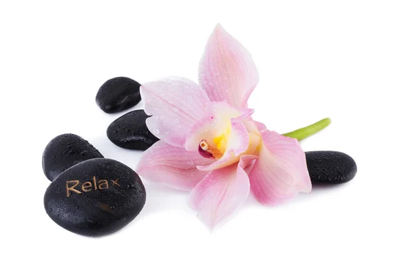 Concepto Spa, Orquídea con piedras zen aisladas sobre blanco — Foto de Stock