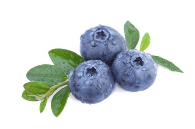 beyaz yaban mersinleri