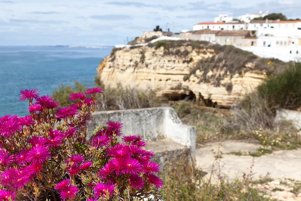 Algarve landskap med rosa blommor i förgrunden, fokus på förgrunden — Stockfoto