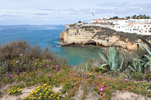 Algarve kusten landskap, portugal — Stockfoto