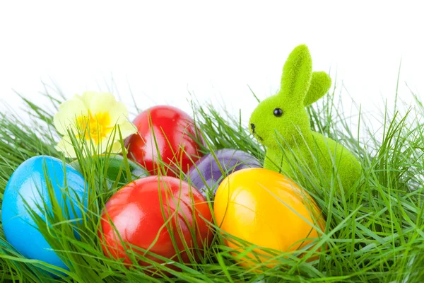 Conejito de Pascua con huevos de Pascua en hierba verde — Foto de Stock