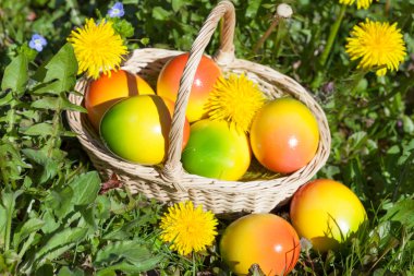Paskalya yumurtaları bir çayır çiçeklerle üzerinde