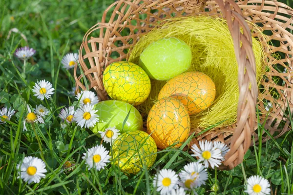 Easter Eggs on Green Grass with Flowers — Stock Photo, Image
