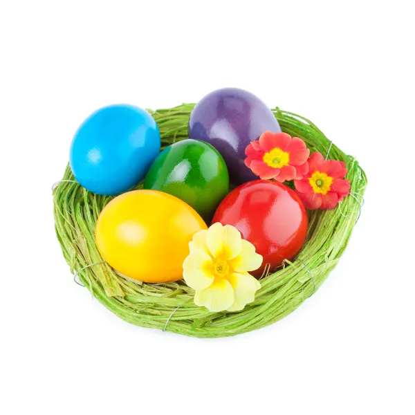Easter Nest — Stock Photo, Image