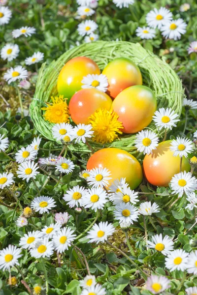 Easter Egg in Basket with Flowers — Stock Photo, Image