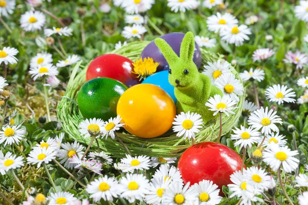 Easter Nest — Stock Photo, Image