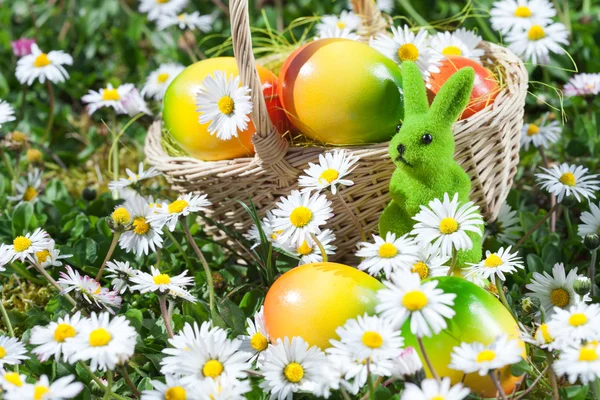 Easter Bunny with Easter Egg on the Flowers Field — Stock Photo, Image