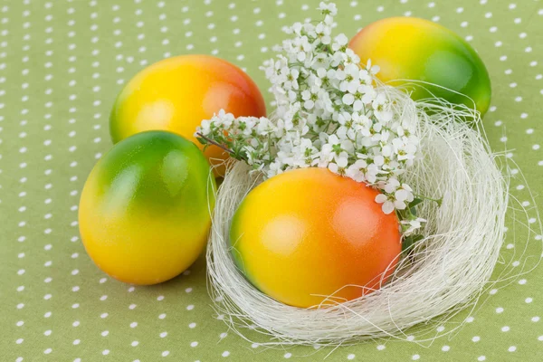 Osternest mit Eiern auf grünem Tupfen-Hintergrund — Stockfoto