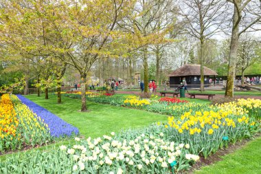 Keukenhof Çiçek Bahçesi, Hollanda