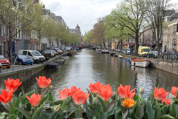 Amsterdam-Kanal-Szene mit Tulpenblumen im Vordergrund — Stockfoto