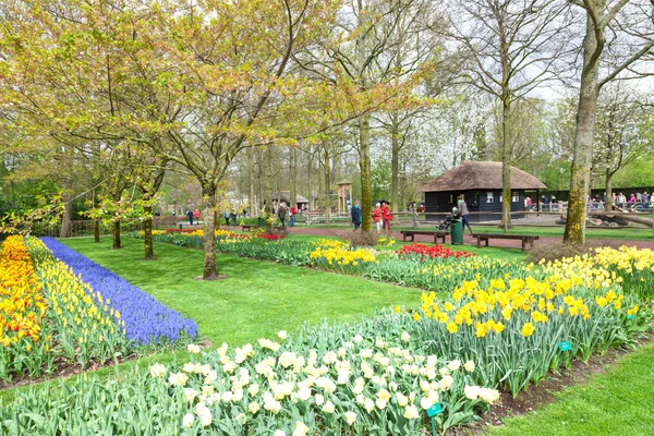 Keukenhof Flower Garden, Paesi Bassi — Foto Stock